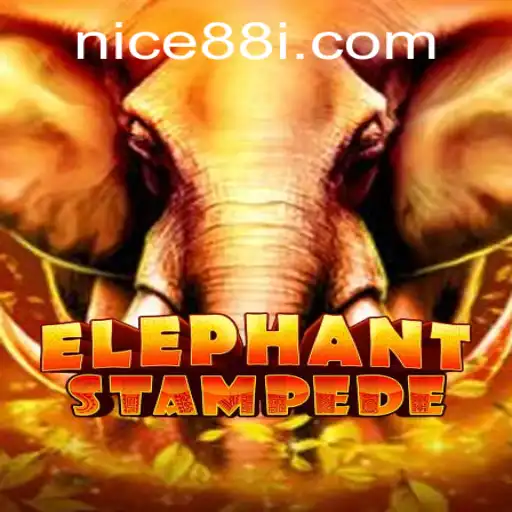 Discover the Thrilling World of ElephantStampede and the Intriguing Nice88